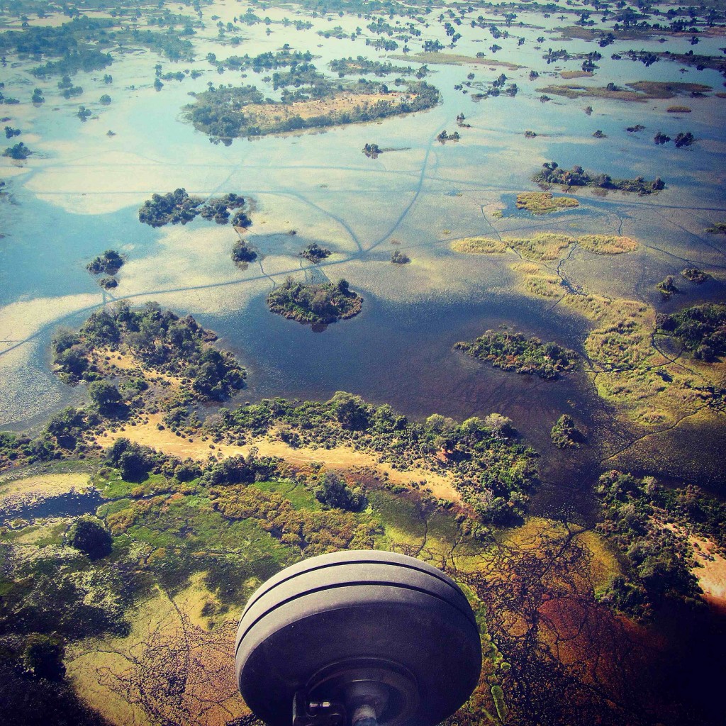 Okavango from air lowres