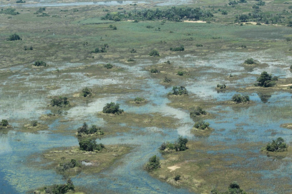 Can you spot the safari camp in this photo taken from the air?  