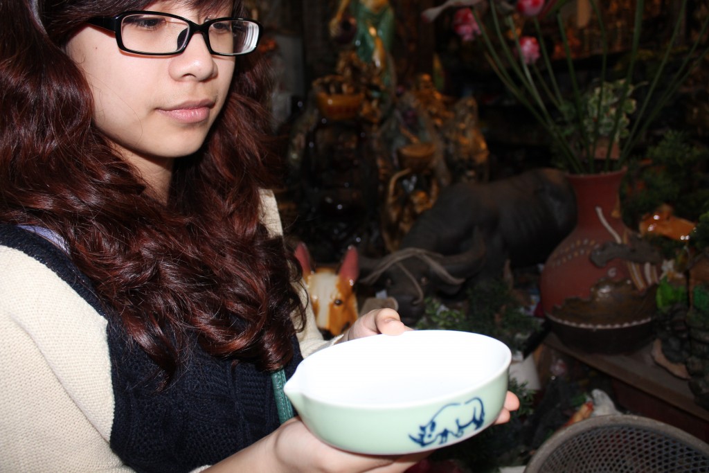I took this photo of a rhino horn grinding bowl with the  team from TRAFFIC in Vietnam (2013)
