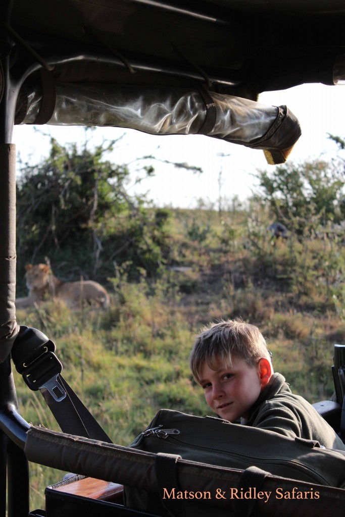 10 Year Old Allessandro watches a lioness 